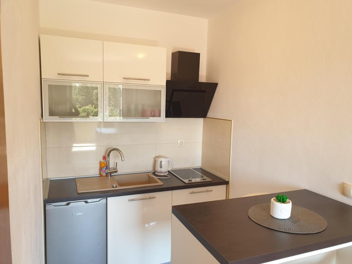 Apartmani Goga 斯塔利格拉德-帕克利尼卡 外观 照片