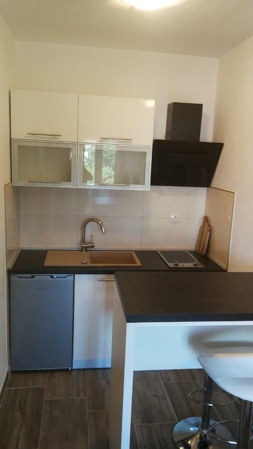 Apartmani Goga 斯塔利格拉德-帕克利尼卡 外观 照片